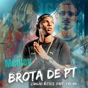 MEDLEY (BROTA DE PT) (feat. Mc Teus)