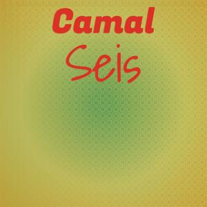 Camal Seis