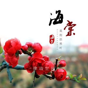 海棠花的浩然吖