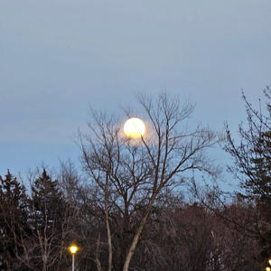 death whistle // magazine