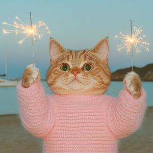 西域战神4.0 (阿凡提)