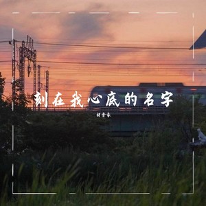 刻在我心底的名字