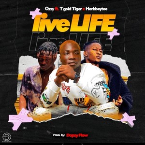 LIVE LIFE (feat. Tgold tiger & Harbbey tee) (Explicit)