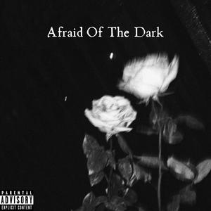 Afraid Of The Dark: VOL 1 (Explicit)