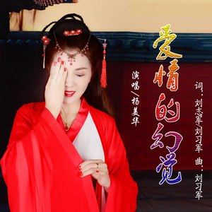 爱情的幻觉封面