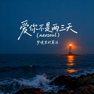 爱你不是两三天 (neosoul)封面
