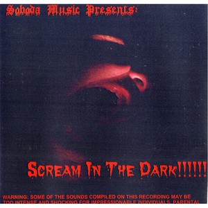 Scream in the Dark