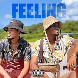 FEELING (feat. N PRO GAME) [Explicit]