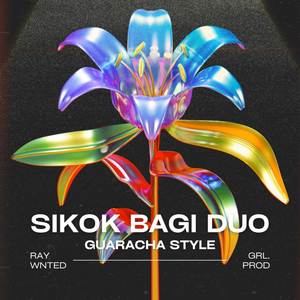 Sikok Bagi Duo