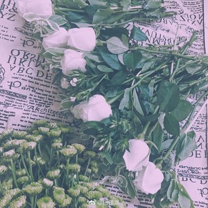 BINGBIAN病变 (Remix)