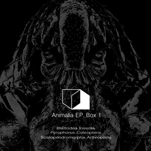 Scolopendromorpha, Arthropoda (Original Mix)