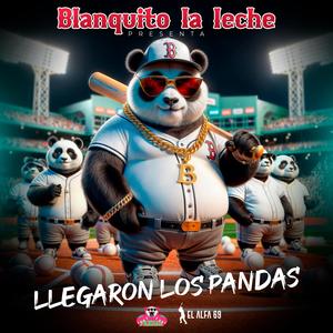 LLEGARON LOS PANDAS