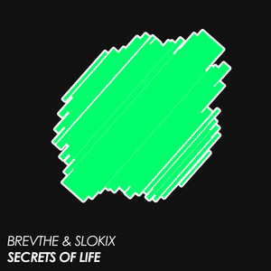 Secrets Of Life (Extended Mix)