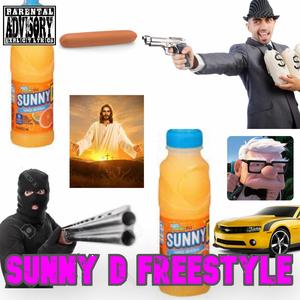 Sunny D (Freestyle) (feat. Baby Rej) (Explicit)