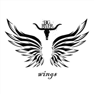 Wings (Radio Edit)