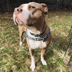 Sticks and Stones (Edit|Explicit)