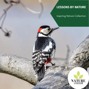 Lessons by Nature - Inspiring Nature Collection