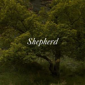 Shepherd (feat. Tobi Adeyeye & Lost-N-Found)