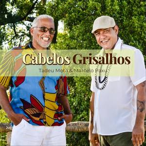 Cabelos Grisalhos