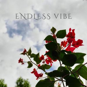 Endless Vibe