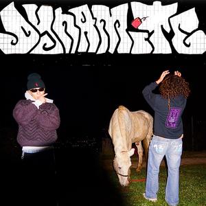 Dynamite (feat. ildetonatore) (Explicit)