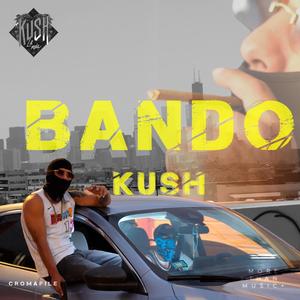 BANDO (feat. Flavbaonthebeat)