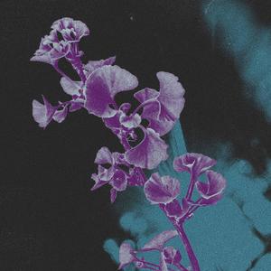 Un novo día (feat. Noemia Veiga, Mirian Matos & Marta Cons)