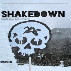 Shakedown (Original Mix)