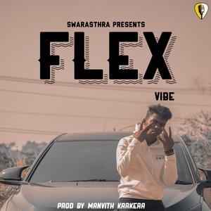 Flex(feat. VIBE) (Explicit)