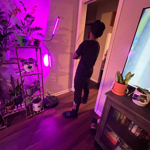 Fairly odd parents (feat. SBM Nicky, Kyyfuzz & Vell2elite) (Explicit)