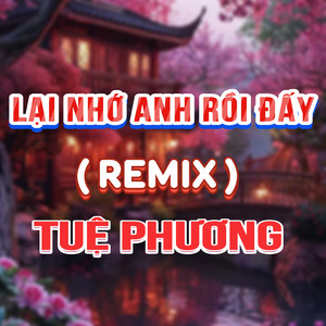 Em Lại Nhớ Anh Rồi (DUCK REMIX)