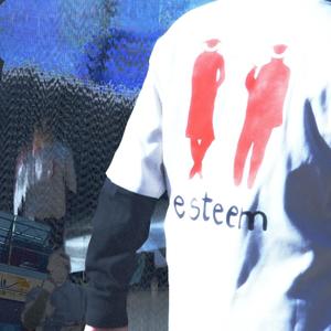 ESTEEM
