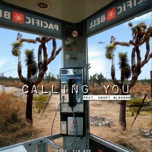 Calling You (feat. Honey Blossom)