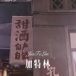 老许 - 加特林 (Remix)