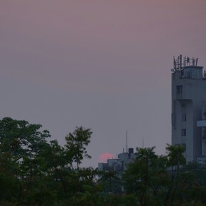 어스름한 (Dusky)