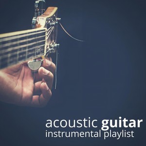 Believer (Guitar Instrumental)