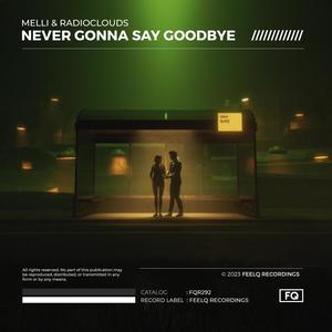 Never Gonna Say Goodbye