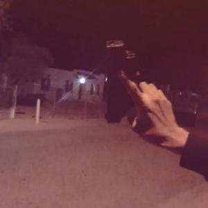 Walkdown (feat. Santi7.62s4k, 47reaper & 223daniel) (Explicit)