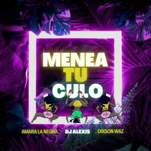 Menea Tu Culo (feat. Dixson Waz & Amara La Negra) [Explicit]