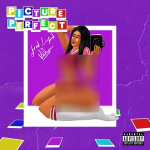 Picture Perfect (feat. Viibzson) [Remix]