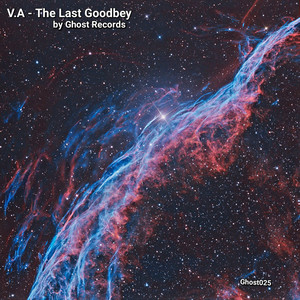 The Last Goodbey (Explicit)