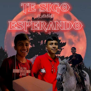 Te Sigo Esperando