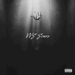 VVS Scars (Explicit)