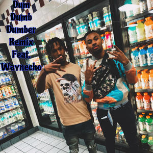 Dum Dumb & Dumber (feat. Waynecho) (Remix|Explicit)