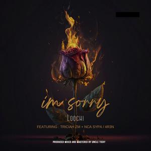 I'M SORRY (feat. Triciah ZM & 4R3N)