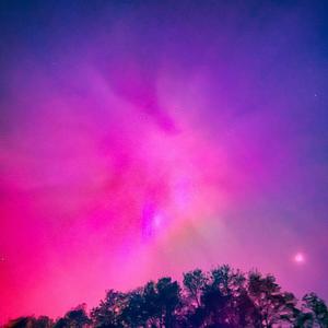 We Could've Had Something, I Guess We'll Never Know (Explicit)