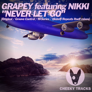 Never Let Go (Original Mix)