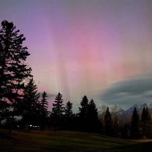 偏执Pt.5 (纯享版)