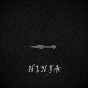 닌자 (Ninja) (忍者 (Ninja))