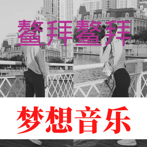 鳌拜鳌拜拜 (Remix)